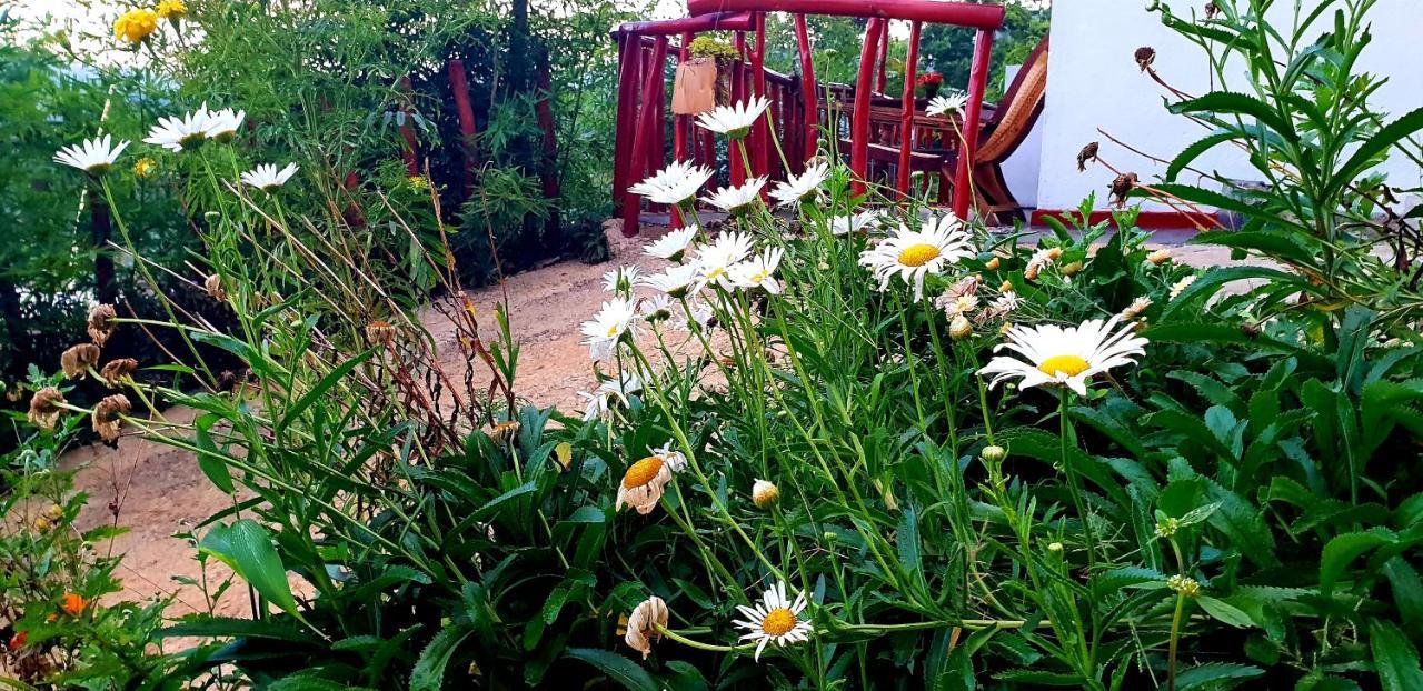 Adannz Bed & Breakfast Ella Bagian luar foto